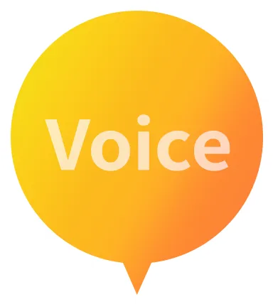 Voice